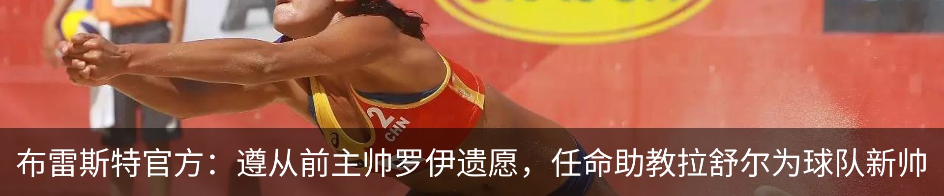 最新动态