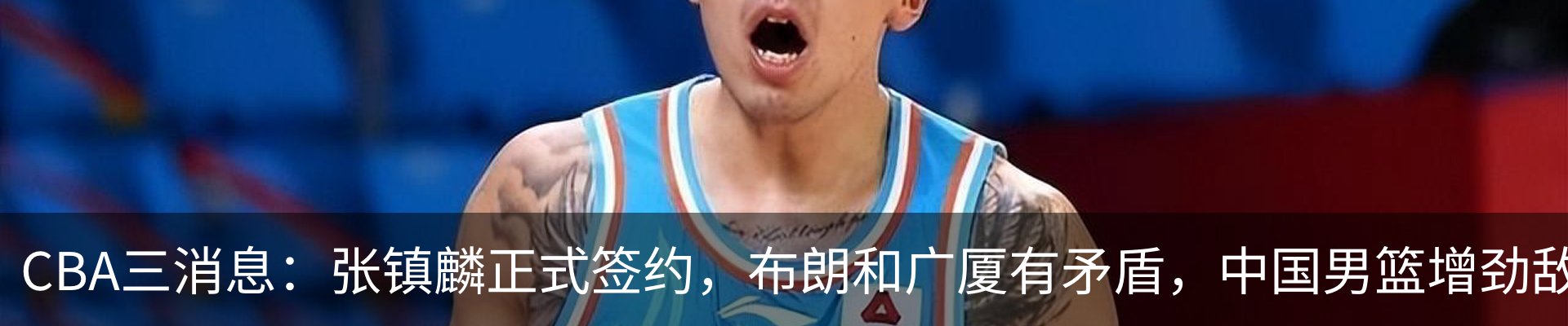 最新动态